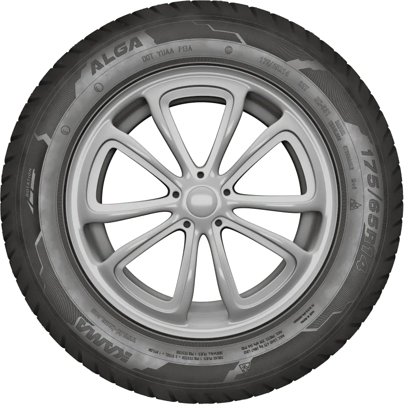 KAMA ALGA (НК-531) нешип в Киселевске — KAMA TYRES KAMA ALGA (НК-531) нешип в Киселевске